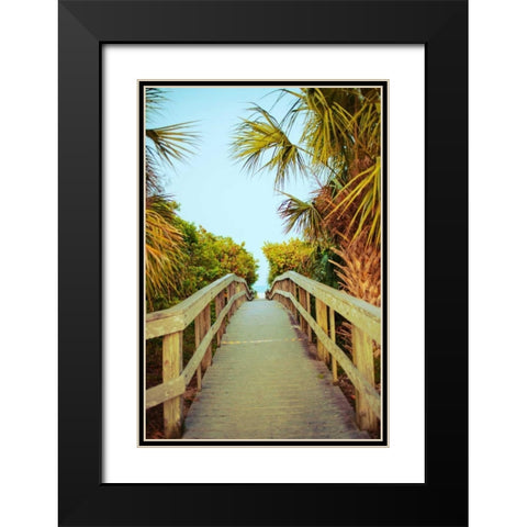 Palm Walkway I Black Modern Wood Framed Art Print with Double Matting by Bryant, Susan