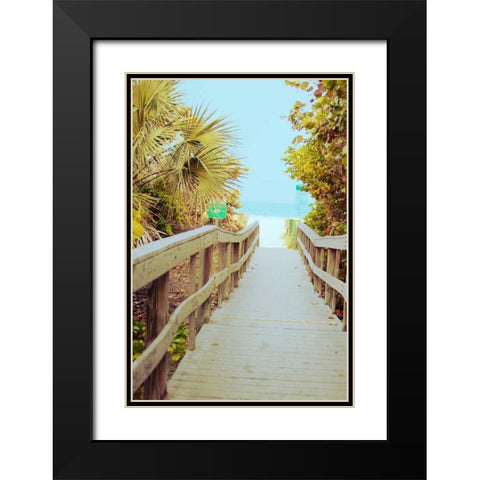 Palm Walkway II Black Modern Wood Framed Art Print with Double Matting by Bryant, Susan