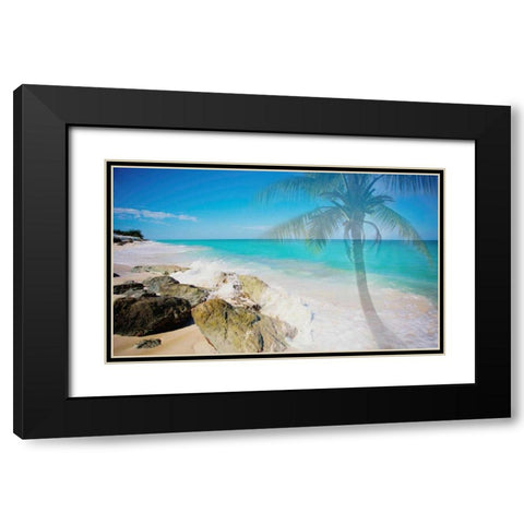 Palm By The Rocks Black Modern Wood Framed Art Print with Double Matting by Bryant, Susan