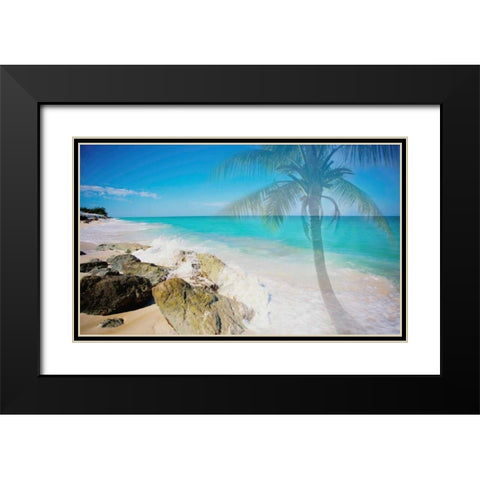 Palm By The Rocks Black Modern Wood Framed Art Print with Double Matting by Bryant, Susan