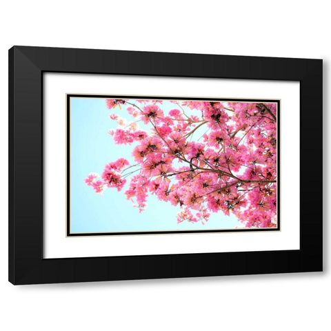 Pink Floral Branch Black Modern Wood Framed Art Print with Double Matting by Peck, Gail