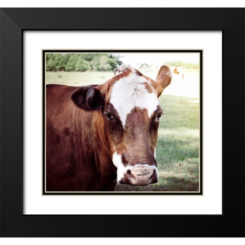 Farm Black Modern Wood Framed Art Print with Double Matting by Peck, Gail