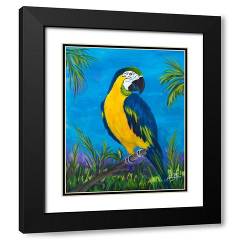 Island Birds II Black Modern Wood Framed Art Print with Double Matting by DeRice, Julie