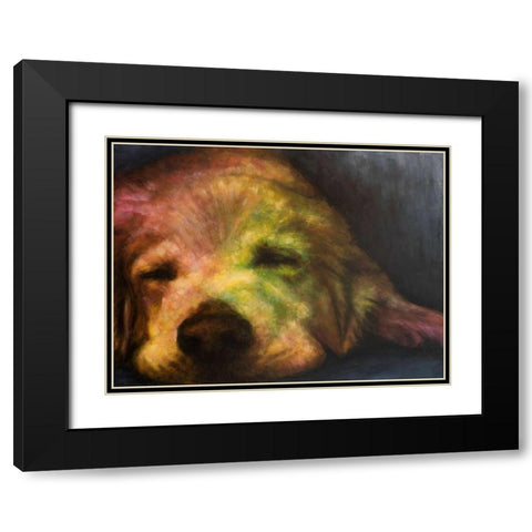 Dog Day Afternoon Black Modern Wood Framed Art Print with Double Matting by Johnson, Walt