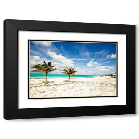 Palms and Kites Black Modern Wood Framed Art Print with Double Matting by Bryant, Susan