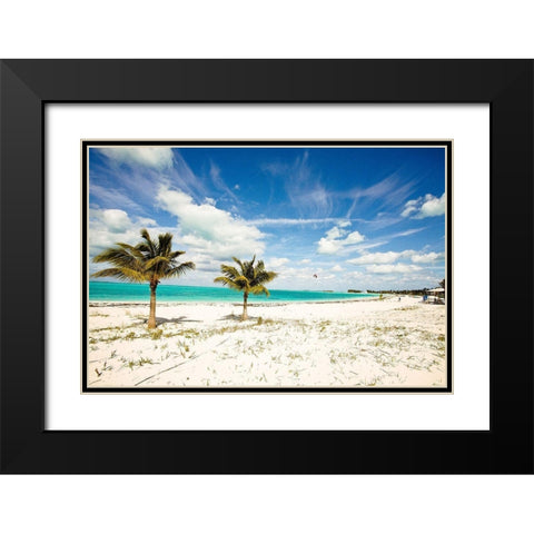 Palms and Kites Black Modern Wood Framed Art Print with Double Matting by Bryant, Susan