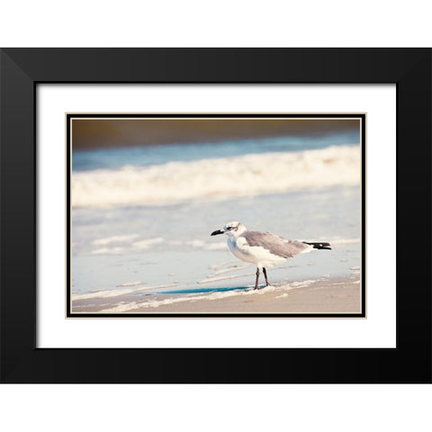See the Seagull Black Modern Wood Framed Art Print with Double Matting by Bryant, Susan