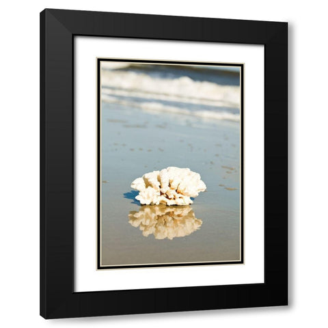 Coral Reflection Black Modern Wood Framed Art Print with Double Matting by Bryant, Susan