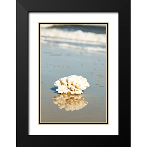 Coral Reflection Black Modern Wood Framed Art Print with Double Matting by Bryant, Susan