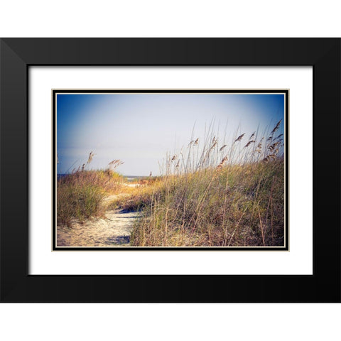 Beach Grass Path Black Modern Wood Framed Art Print with Double Matting by Bryant, Susan