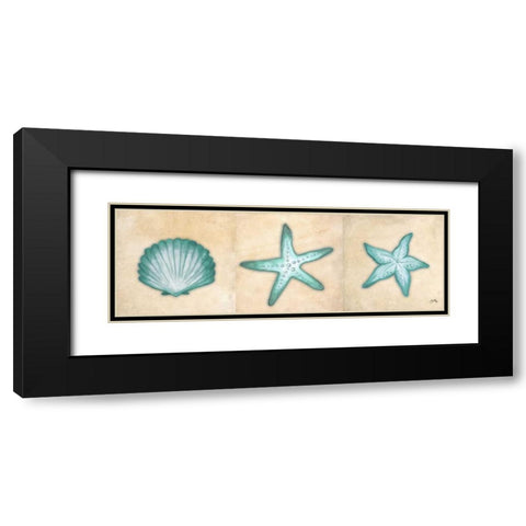 Shells I Black Modern Wood Framed Art Print with Double Matting by Medley, Elizabeth