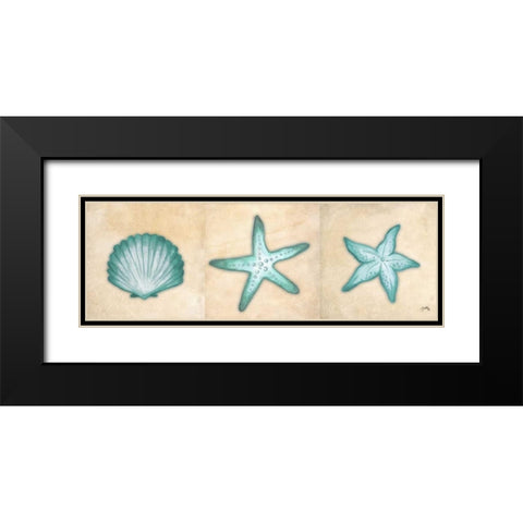 Shells I Black Modern Wood Framed Art Print with Double Matting by Medley, Elizabeth