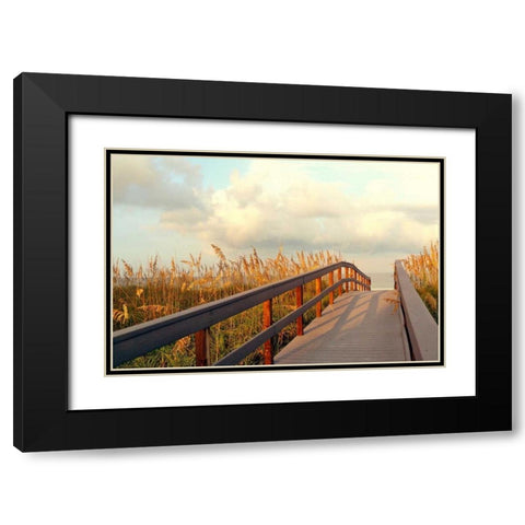 Sunset Pathway Black Modern Wood Framed Art Print with Double Matting by Peck, Gail