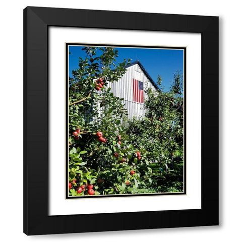 Patriotic Barn Black Modern Wood Framed Art Print with Double Matting by Peck, Gail
