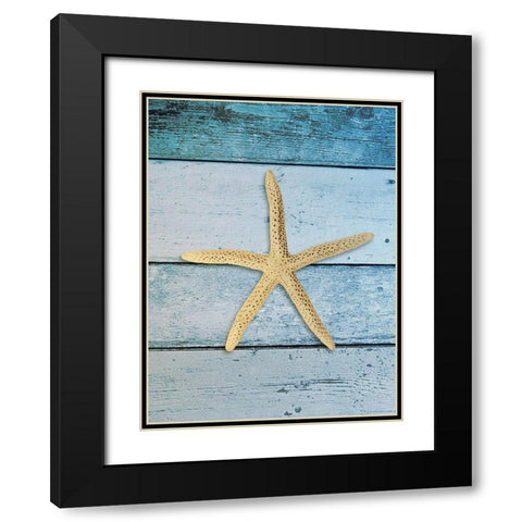 Shell on Blue Wood I Black Modern Wood Framed Art Print with Double Matting by Rodriguez, Jairo