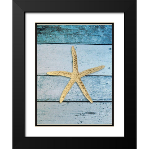 Shell on Blue Wood I Black Modern Wood Framed Art Print with Double Matting by Rodriguez, Jairo