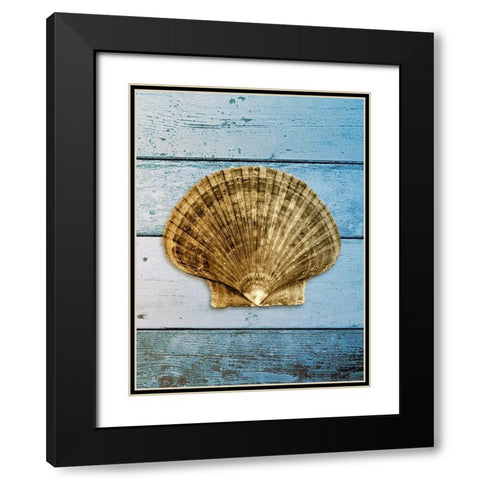 Shell on Blue Wood II Black Modern Wood Framed Art Print with Double Matting by Rodriguez, Jairo