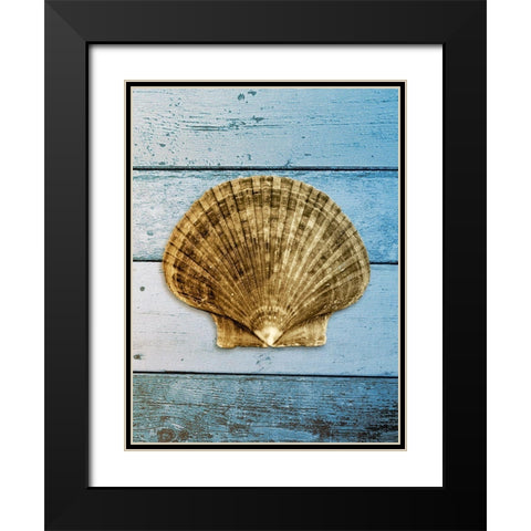 Shell on Blue Wood II Black Modern Wood Framed Art Print with Double Matting by Rodriguez, Jairo