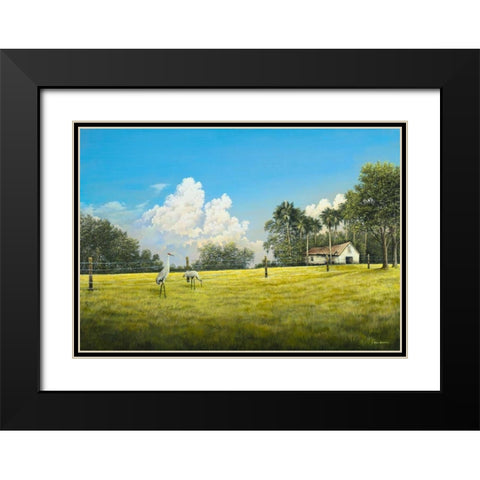 Crane Field Black Modern Wood Framed Art Print with Double Matting by Nawrocke, Bruce