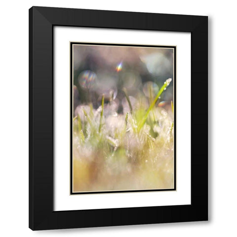 Soft Morning Dew II Black Modern Wood Framed Art Print with Double Matting by Gardner, Sarah
