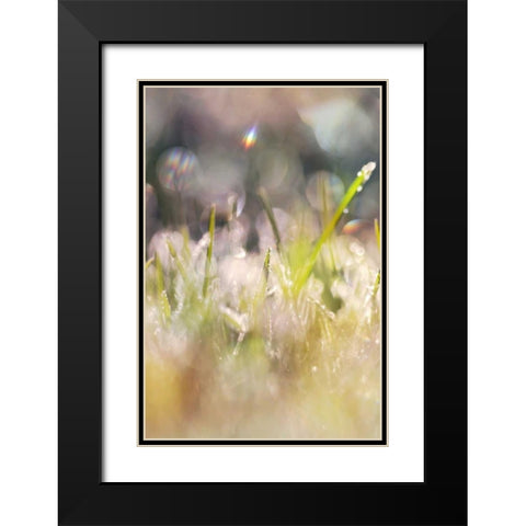 Soft Morning Dew II Black Modern Wood Framed Art Print with Double Matting by Gardner, Sarah
