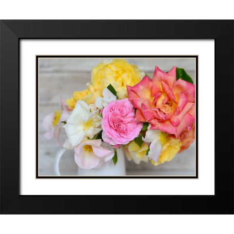 Color Burst Black Modern Wood Framed Art Print with Double Matting by Gardner, Sarah