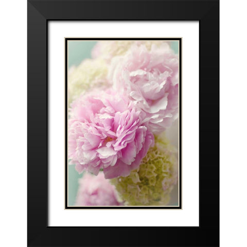 Soft Pink Blooms Black Modern Wood Framed Art Print with Double Matting by Gardner, Sarah