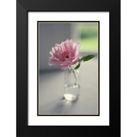 Evening Blooms Black Modern Wood Framed Art Print with Double Matting by Gardner, Sarah