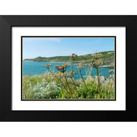 Far Away In The Breeze Black Modern Wood Framed Art Print with Double Matting by Gardner, Sarah