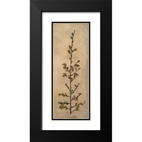 Captured Nature II Black Modern Wood Framed Art Print with Double Matting by Johnson, Walt