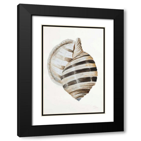 Modern Shell I Black Modern Wood Framed Art Print with Double Matting by Pinto, Patricia