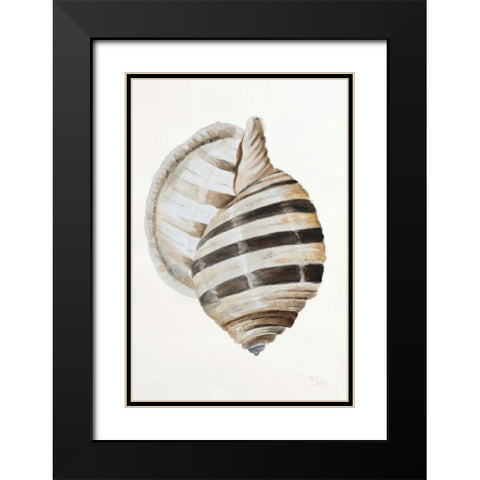 Modern Shell I Black Modern Wood Framed Art Print with Double Matting by Pinto, Patricia