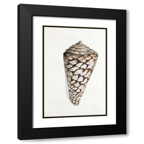 Modern Shell II Black Modern Wood Framed Art Print with Double Matting by Pinto, Patricia