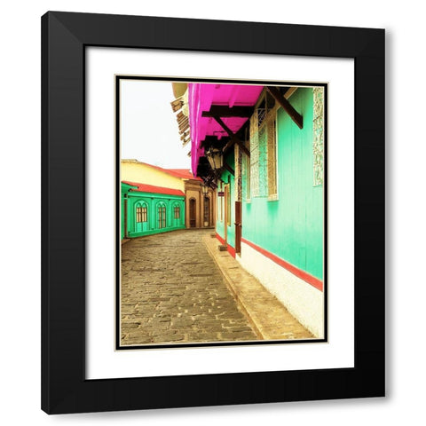 Island Trips Black Modern Wood Framed Art Print with Double Matting by Coppel, Anna