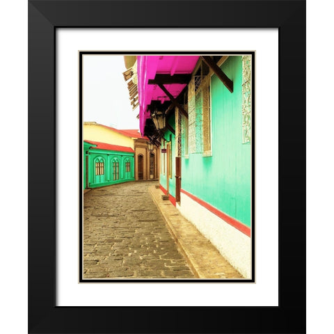 Island Trips Black Modern Wood Framed Art Print with Double Matting by Coppel, Anna