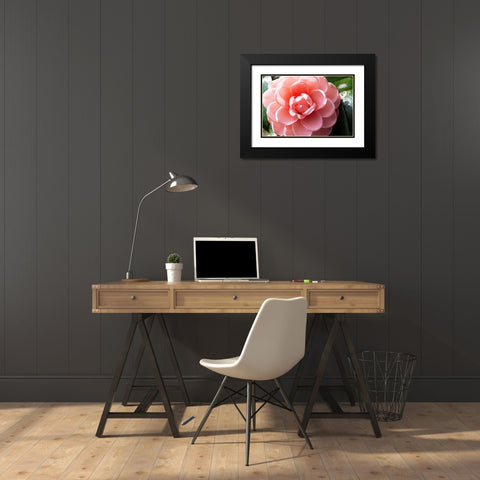 Coral Bloom Black Modern Wood Framed Art Print with Double Matting by Coppel, Anna