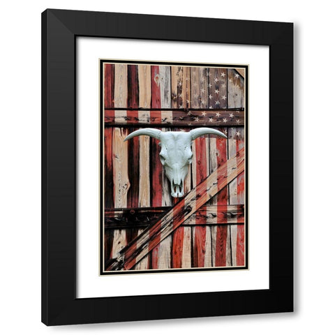 All American Black Modern Wood Framed Art Print with Double Matting by Peck, Gail