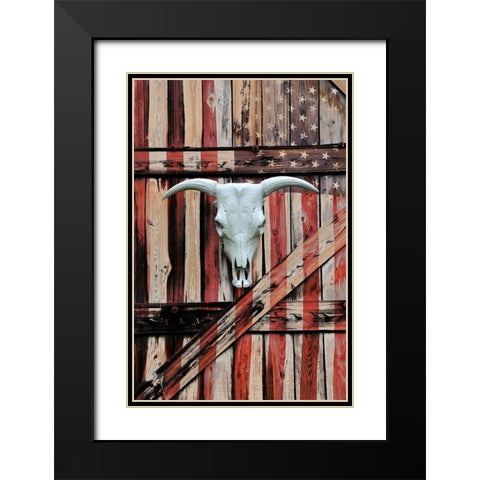 All American Black Modern Wood Framed Art Print with Double Matting by Peck, Gail