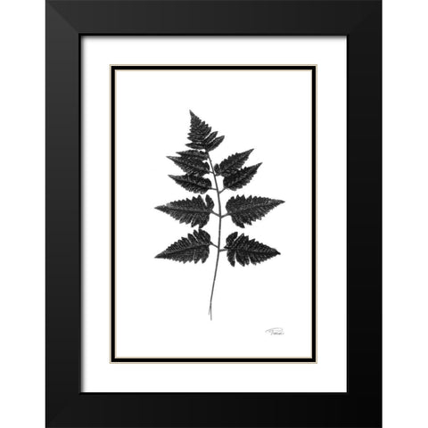 Black Pressed Leaves Black Modern Wood Framed Art Print with Double Matting by Pattinian, Merri