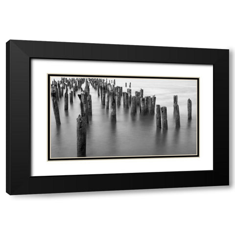 Hudson River Pilings Black Modern Wood Framed Art Print with Double Matting by Bill Carson Photography