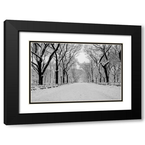 The Mall Washington DC Black Modern Wood Framed Art Print with Double Matting by Bill Carson Photography