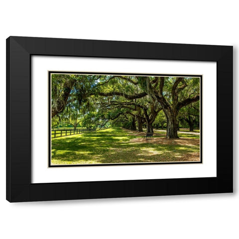 Boone Hall Black Modern Wood Framed Art Print with Double Matting by Bill Carson Photography