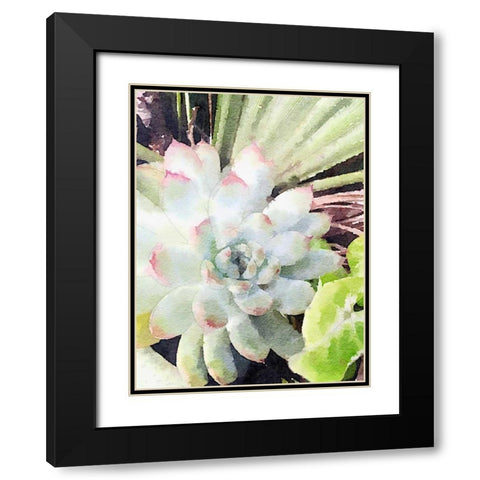 Watercolor Green Succulent Black Modern Wood Framed Art Print with Double Matting by James, Nola