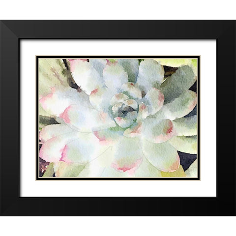 Watercolor Succulent Black Modern Wood Framed Art Print with Double Matting by James, Nola