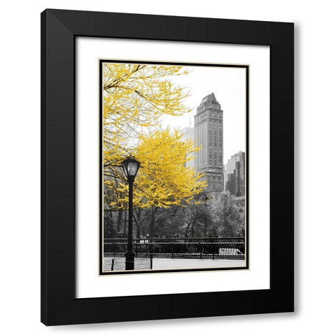 Central Park with Yellow Tree Black Modern Wood Framed Art Print with Double Matting by Navas, Emily