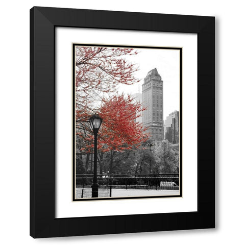 Central Park with Red Tree Black Modern Wood Framed Art Print with Double Matting by Navas, Emily