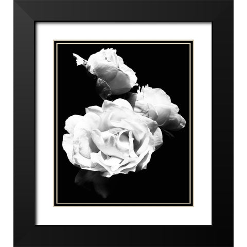 Dramatic Love Blooms  I Black Modern Wood Framed Art Print with Double Matting by Navas, Emily