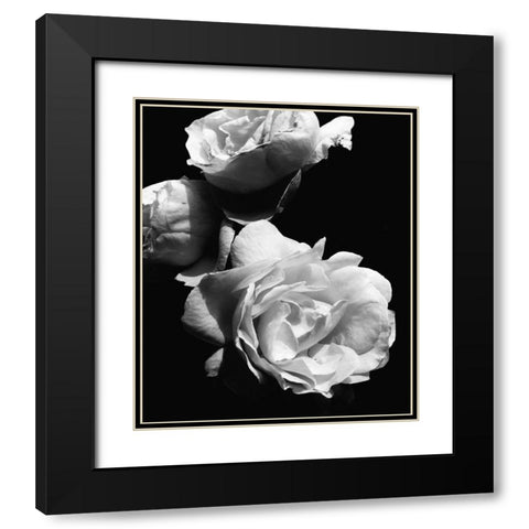 Dramatic Love Blooms II Black Modern Wood Framed Art Print with Double Matting by Navas, Emily