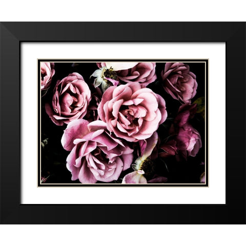 Baroque Roses Black Modern Wood Framed Art Print with Double Matting by Navas, Emily