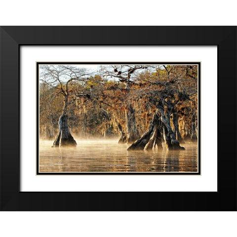 Cypress Creek I Black Modern Wood Framed Art Print with Double Matting by Nawrocke, Bruce